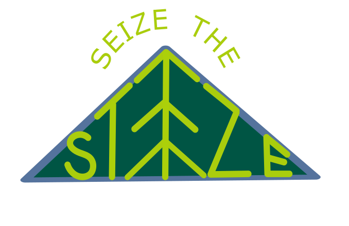 Seize The Steeze