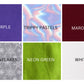 STZ 6 Peak Hat Customizable (Colors and Patterns)